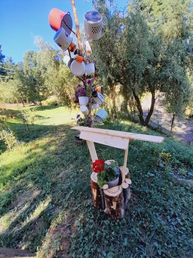 Villa Casa De La Ferma Mariuca Berbesti Esterno foto