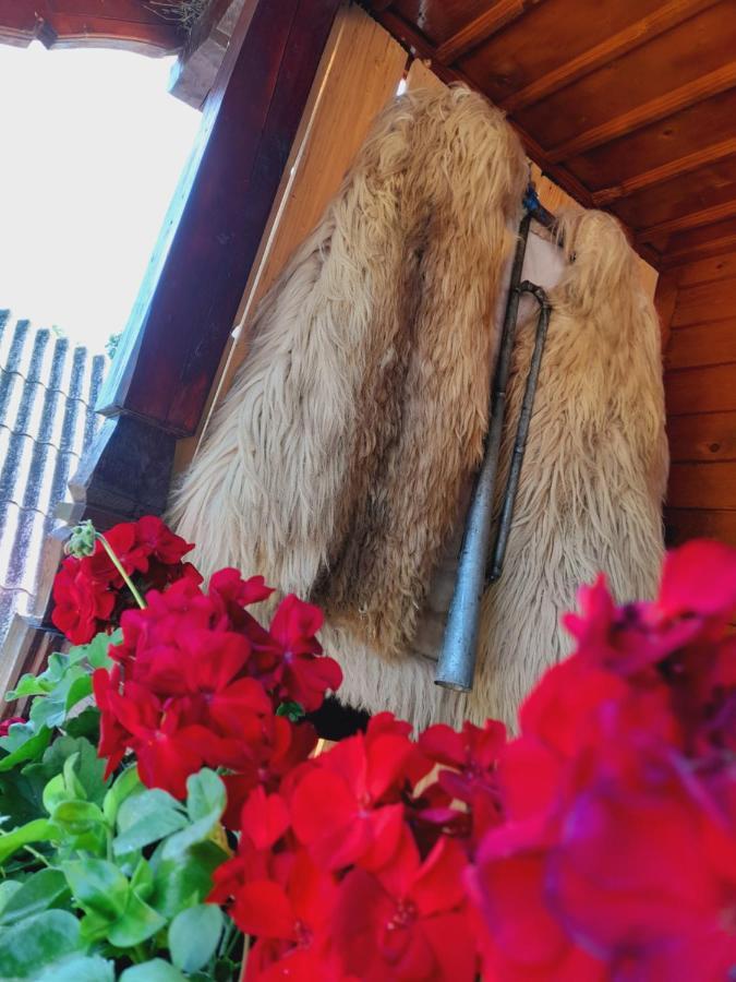 Villa Casa De La Ferma Mariuca Berbesti Esterno foto