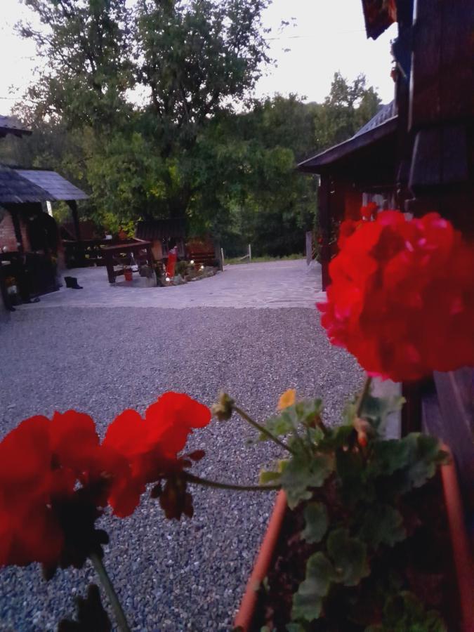 Villa Casa De La Ferma Mariuca Berbesti Esterno foto