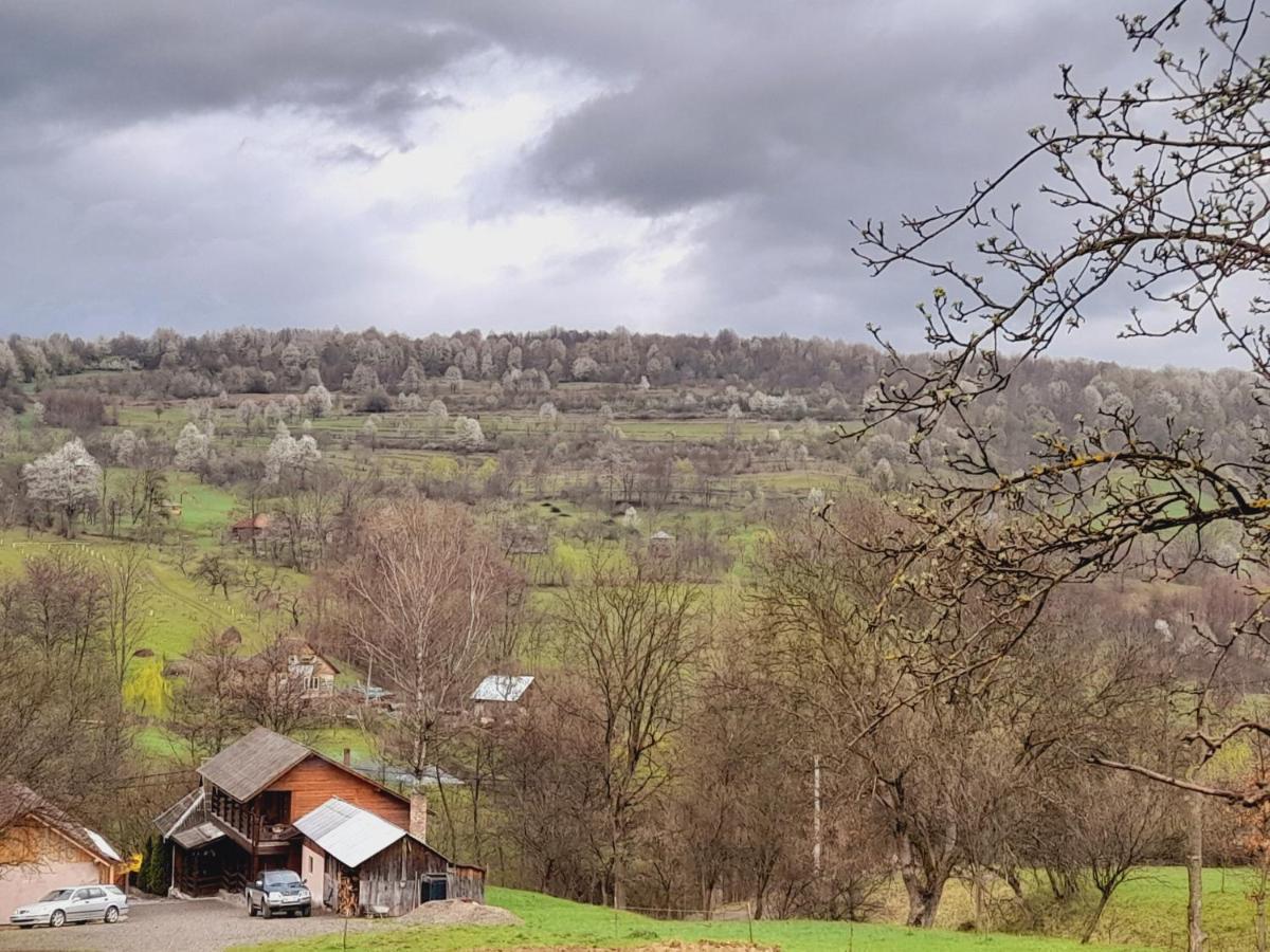 Villa Casa De La Ferma Mariuca Berbesti Esterno foto