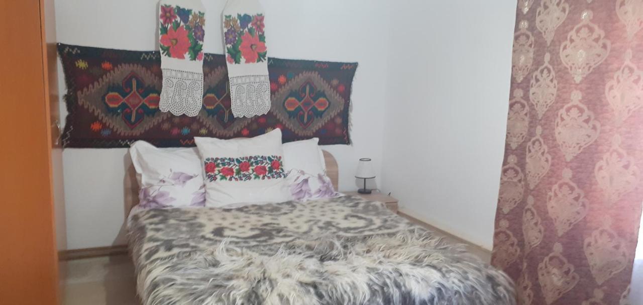 Villa Casa De La Ferma Mariuca Berbesti Esterno foto