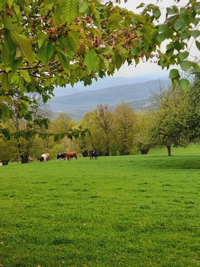 Villa Casa De La Ferma Mariuca Berbesti Esterno foto