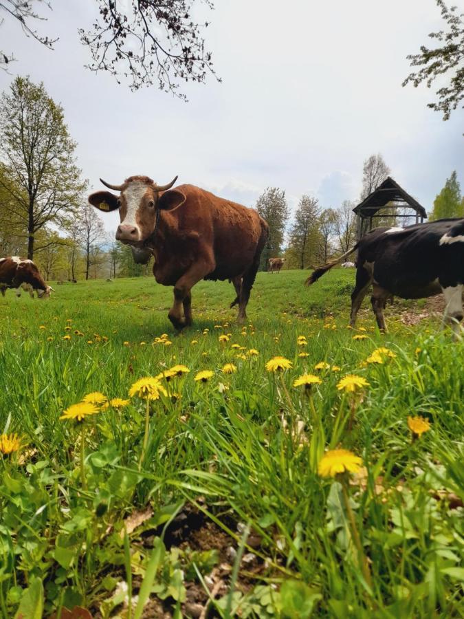 Villa Casa De La Ferma Mariuca Berbesti Esterno foto