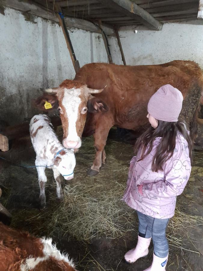 Villa Casa De La Ferma Mariuca Berbesti Esterno foto