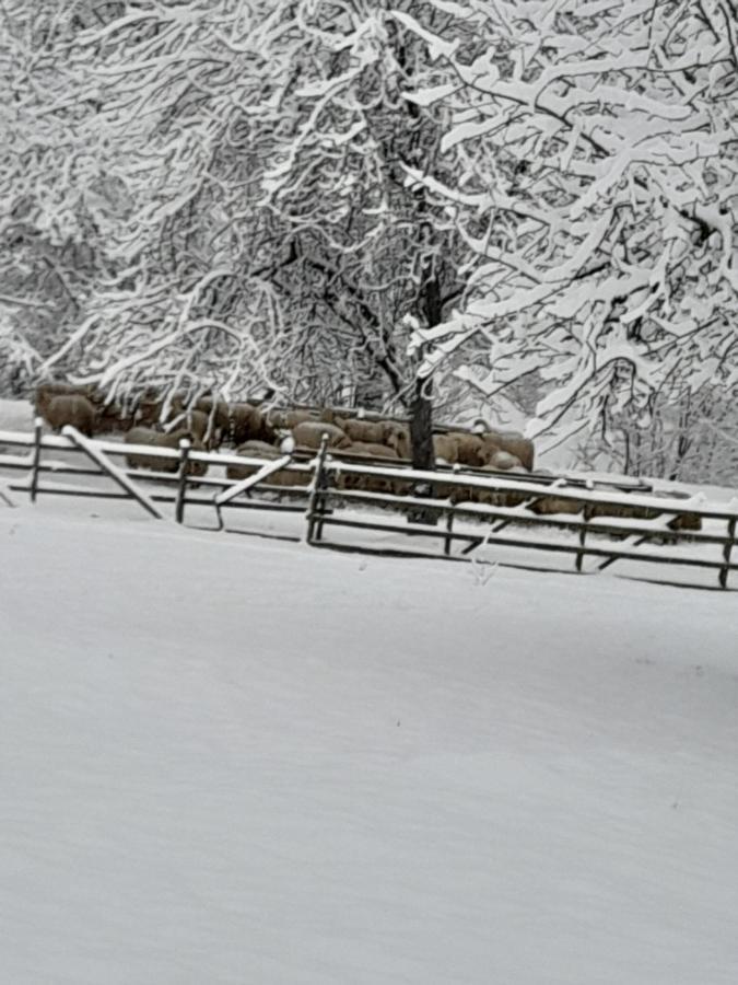 Villa Casa De La Ferma Mariuca Berbesti Esterno foto