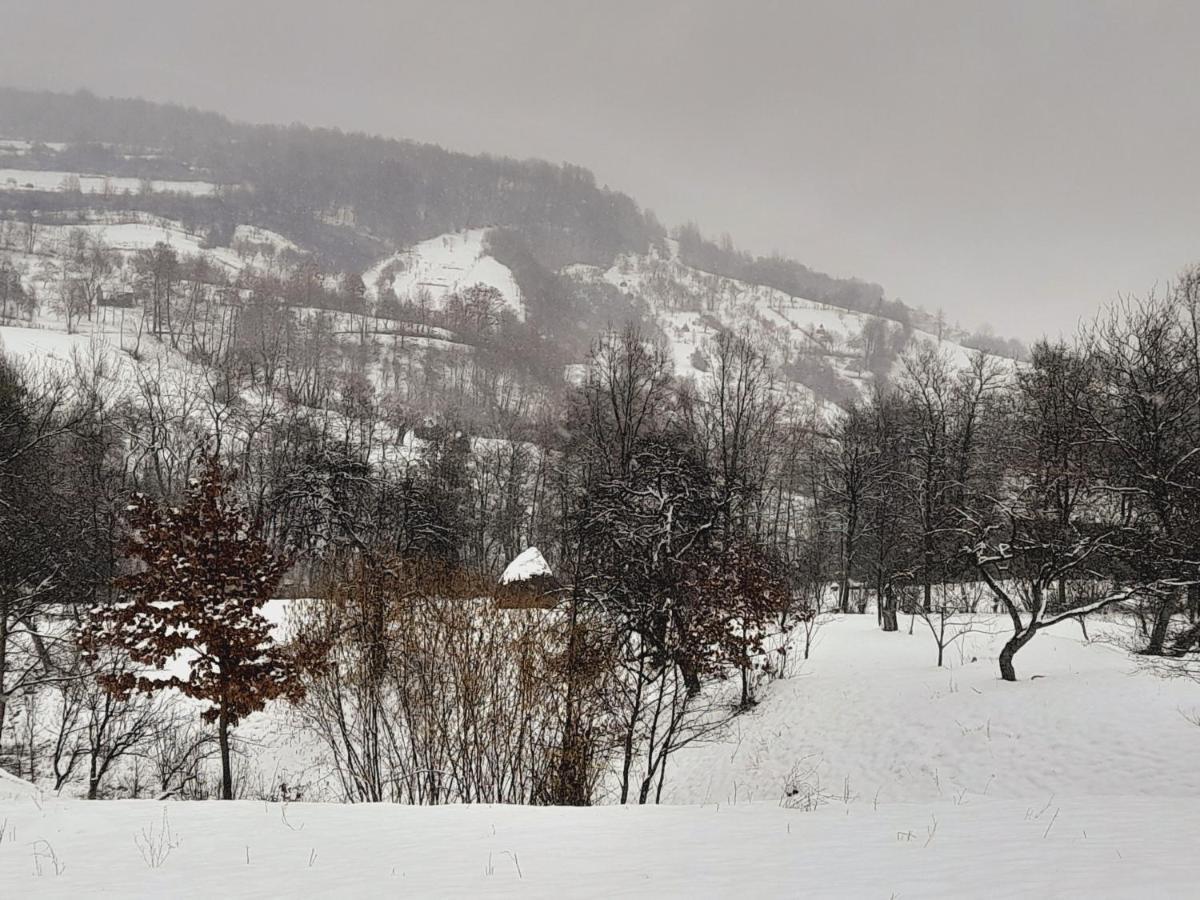 Villa Casa De La Ferma Mariuca Berbesti Esterno foto