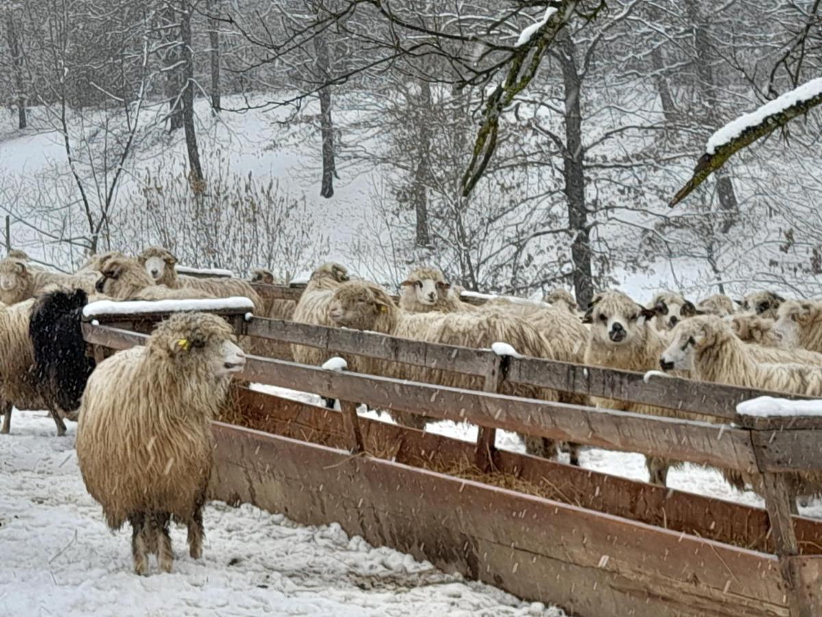 Villa Casa De La Ferma Mariuca Berbesti Esterno foto